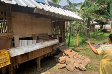5 Ekor Kambing Dicuri di Bekasi, Langsung Dipotong Dekat Kandang dan Hanya Tersisa Jeroan