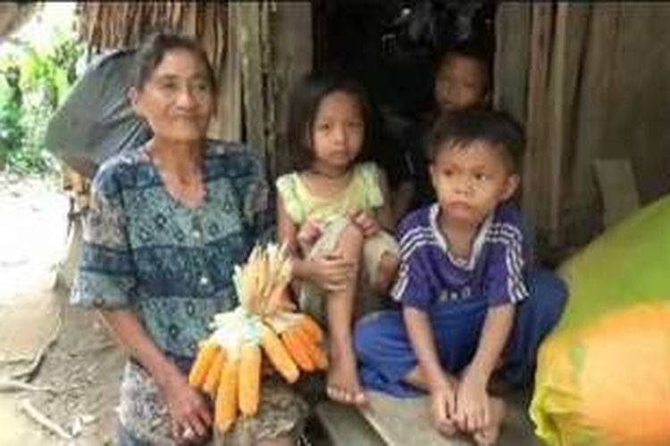 Lempan (65), seorang nenek dari Dusun Lemo Baru, Desa Kuajang, Kecamatan Binuang, Kabupaten Polewali Mandar, Sulawesi Barat, mendirikan gubuk di tengah hutan karena tak punya lahan. Untuk menghidupi tiga cucunya yang masih bocah, dia mencari kayu di hutan dan menjualnya keliling kampung atau di pasar.