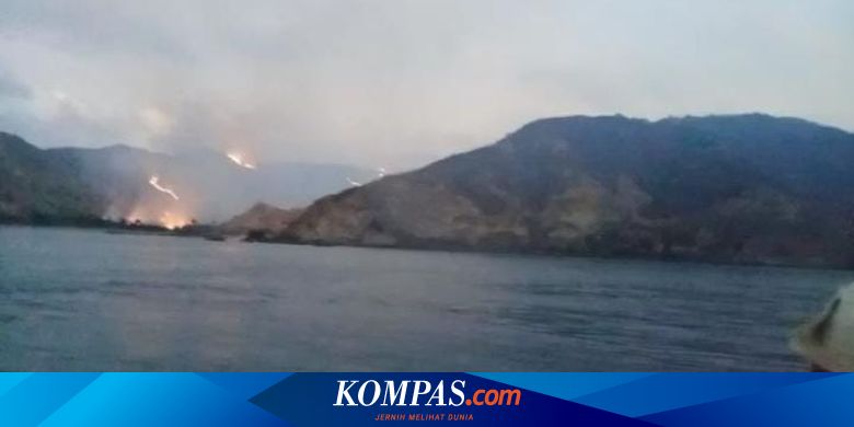 Sabana di Kawasan Taman Nasional Komodo Terbakar - Vimarsana News