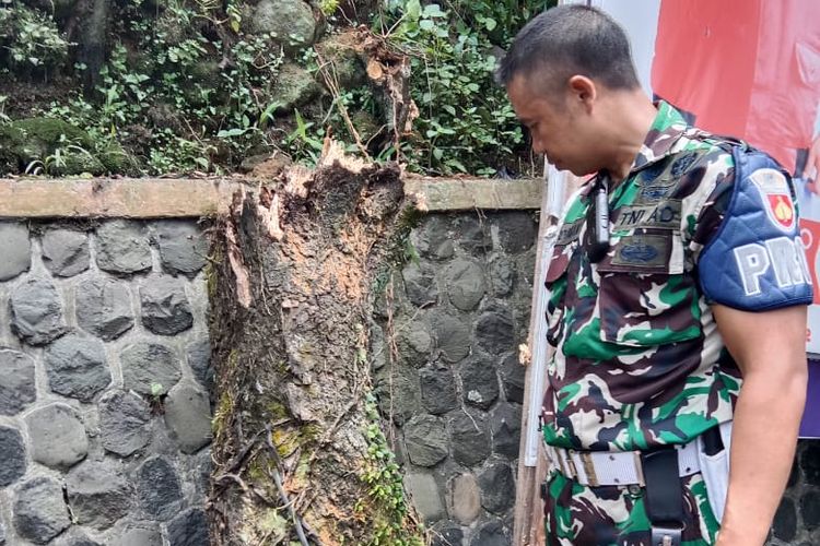 Satu petugas dari tim gabungan pembersihan alat peraga kampanye (APK) di Kabupaten Wonosobo, Jawa Tengah meninggal dunia setelah tertimpa kayu lapuk. 