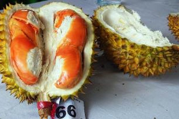 Durian merah, buah khas Kabupaten Banyuwangi