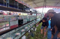 Monas Diserbu 130 Ribu Pengunjung Saat Cuti Bersama Natal 2025