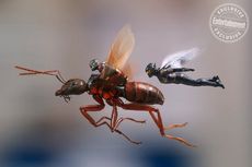 Apakah Ant-Man dan The Wasp Bisa Bersembunyi di Borobudur?