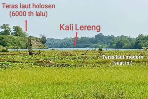 Benteng Alami Tsunami Selatan Jawa Terkikis, Jutaan Nyawa Terancam Bahaya Megathrust