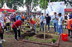 Dukung Penghijauan dan Ulang Tahun Ke-77, KAI Tanam 77.000 Pohon