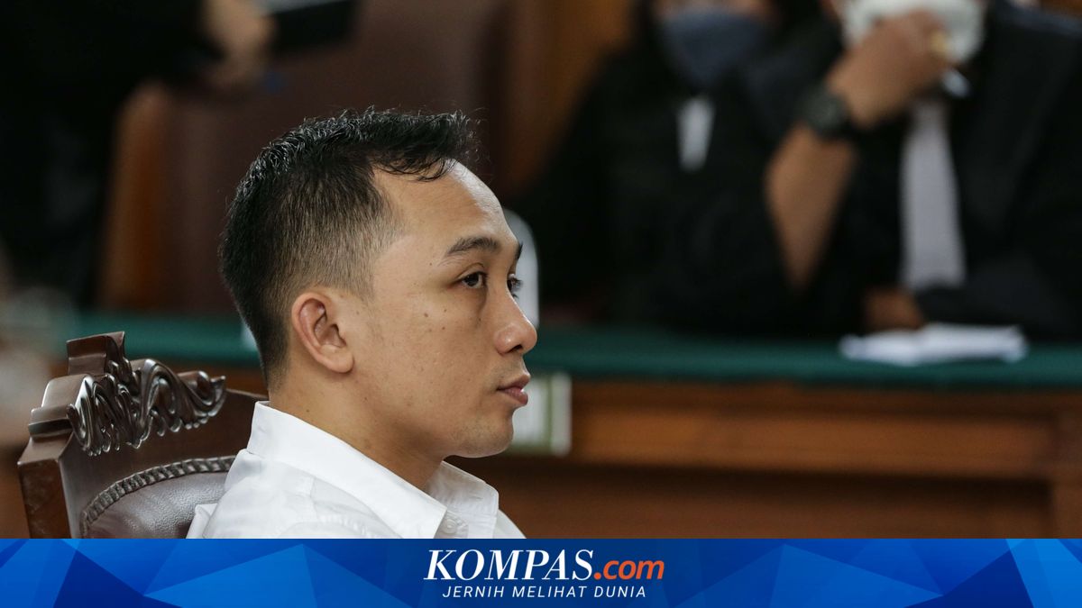 Hal Memberatkan Vonis 13 Tahun Penjara Ricky Rizal: Berbelit-belit ...
