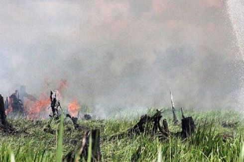 Riau Tetapkan Siaga Darurat Kebakaran Hutan dan Lahan