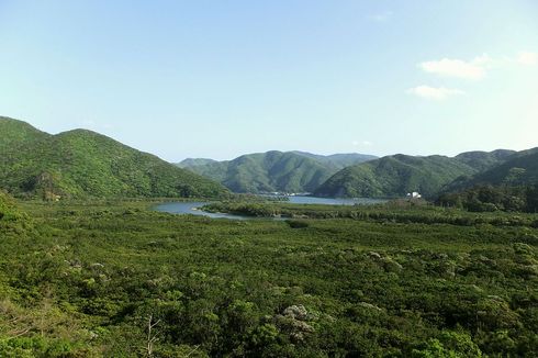 5 Hal Menarik untuk Dilakukan Saat Berlibur di Kepulauan Amami, Jepang