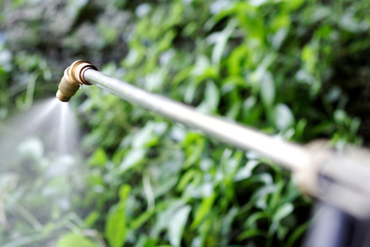 Ilustrasi pengaplikasian herbisida. 