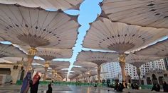 Bantu Jemaah Haji 2026, Ratusan Pramuka & Relawan Disiagakan di Madinah