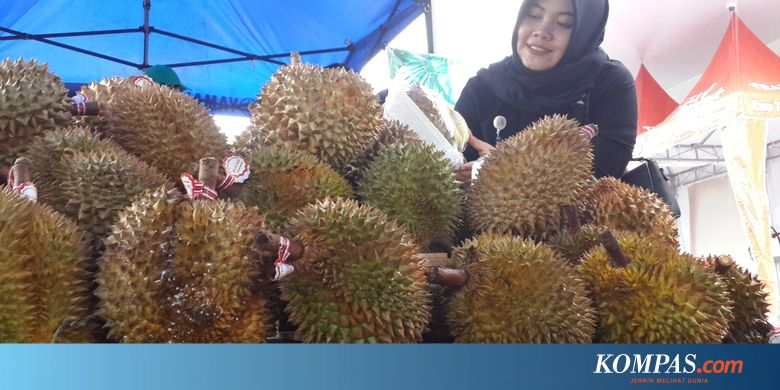 Kurang Promosi, Festival Durian di Malang Sepi