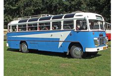 Ikarus, Bus yang 