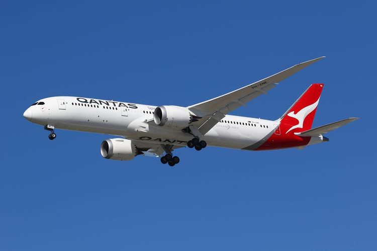 Gara-gara Kutu Busuk, Pesawat Ini Batal Terbang dari Australia