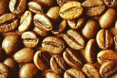 Grup Lippo Janji akan Beli Kopi Petani Lokal untuk Maxx Coffee