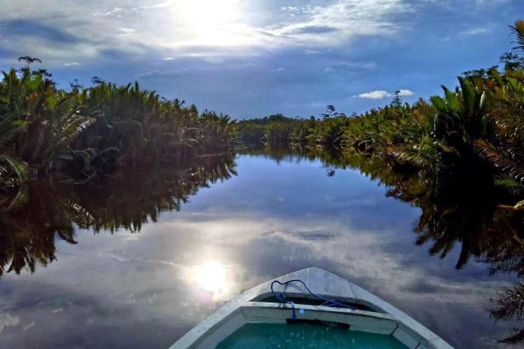 Desa Wisata Sei Sekonyer, Kalimantan Tengah
