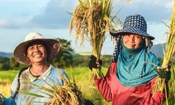 Ada AUTP, Kini Petani Padi Tidak Lagi Khawatir Gagal Panen