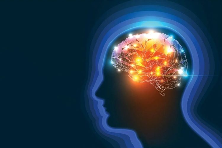 Obat stroke bernama GAI-17 melindungi otak tikus bahkan enam jam setelah kerusakan terjadi?dan mungkin suatu hari nanti dapat membantu melawan Alzheimer juga, tanpa efek samping yang berbahaya.