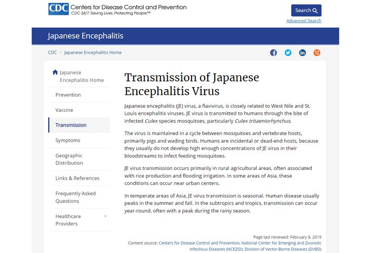 Tangkapan layar laman Pusat Pengendalian dan Pencegahan Penyakit Amerika Serikat (CDC), tentang virus ensefalitis Jepang atau JE.