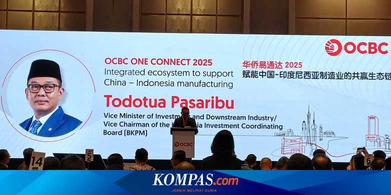 RI Genjot Hilirisasi Mineral, Terutama untuk Logam Tanah Jarang, Bidik Kolaborasi dengan China