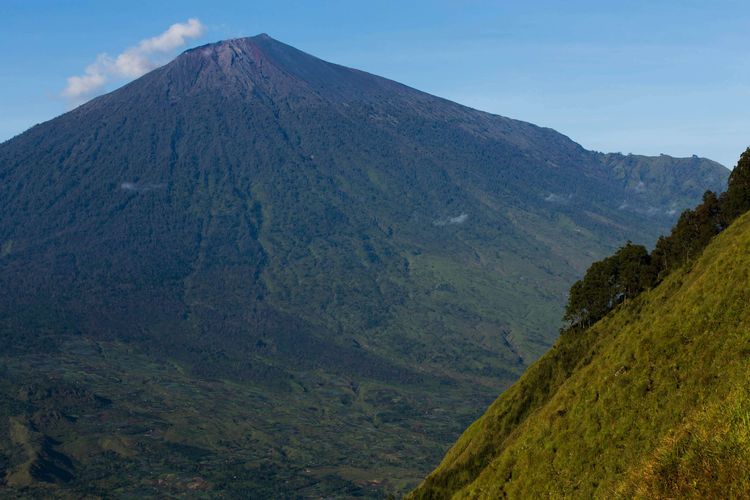 Lanskap Gunung Rinjani dari puncak Bukit Pergasingan, Lombok Timur, Nusa Tenggara Barat, Kamis (19/3/2015). Puncak Bukit Pergasingan menjadi pilihan wisata trekking di Lombok Timur untuk menyaksikan matahari terbit dan lanskap Gunung Rinjani. KOMPAS IMAGES/KRISTIANTO PURNOMO