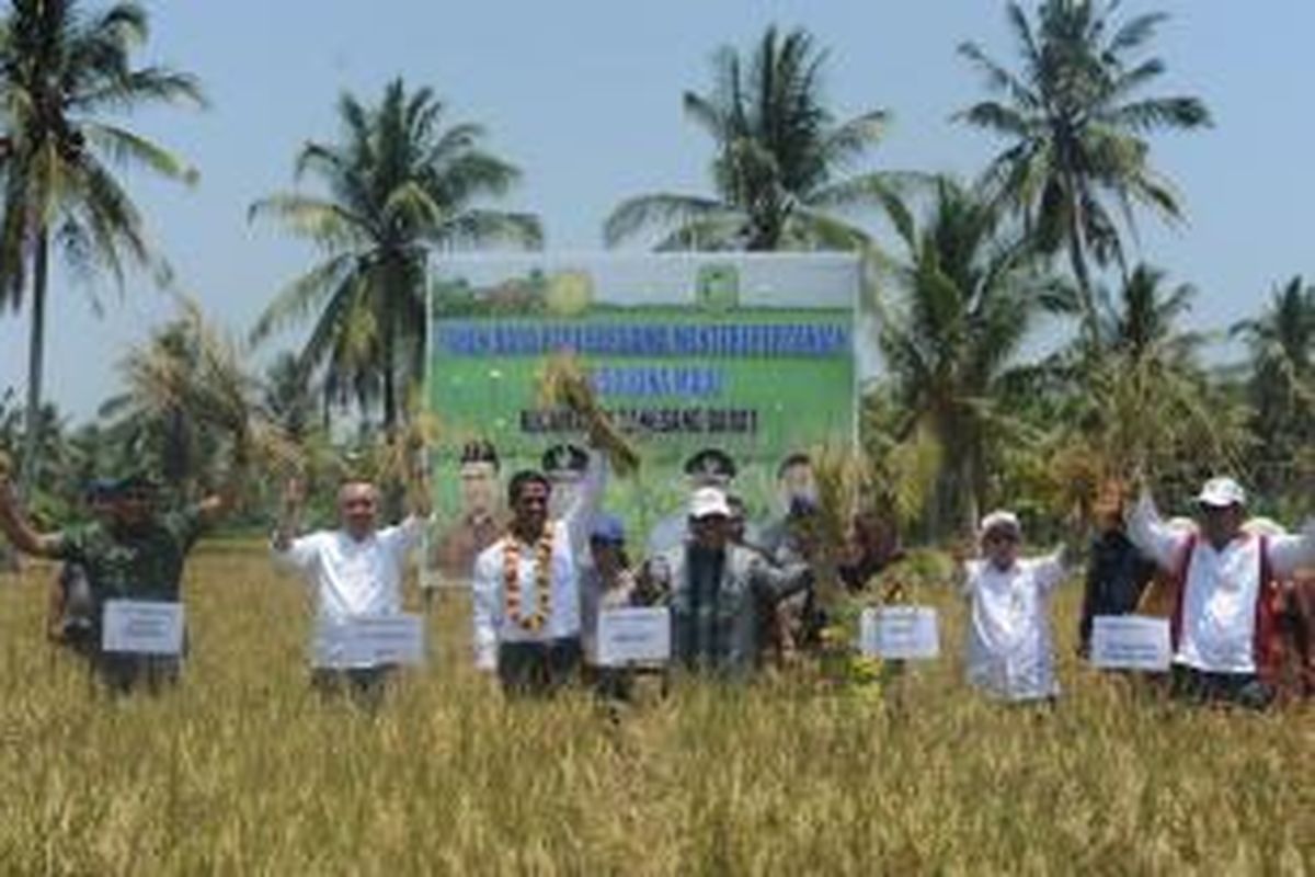 Mentan ikut melakukan panen raya padi di Desa Bina Maju, Kecamatan Rangsang Barat, Kabupaten Kepulauan Meranti, Provinsi Riau, bersama Plt. Gubernur Riau Asyadjuliandi Rachman, Bupati Kepulauan Meranti H. Irwan, Komandan Korem (Danrem) 031/WB Brigjen TNI Prihadi Agus Irianto, Rabu (4/3/2015) lalu.