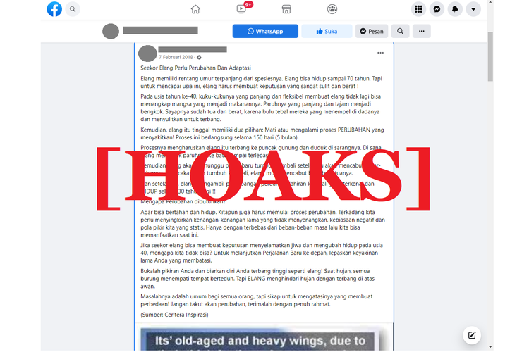 Tangkapan layar unggahan hoaks di sebuah akun Facebook, yang menyebut bahwa elang bisa hidup sampai 70 tahun karena terlahir kembali setelah mematahkan paruh dan cakarnya,