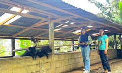 Kisah Elce, Mantri BRI yang Menembus Pegunungan Toraja demi Buka Akses Keuangan Warga