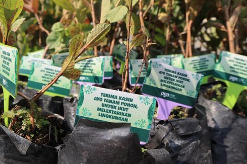 Jaga Pelestarian Lingkungan Hidup, PGNCOM Gelar Aksi Adopsi dan Bagikan 1.000 Bibit Pohon