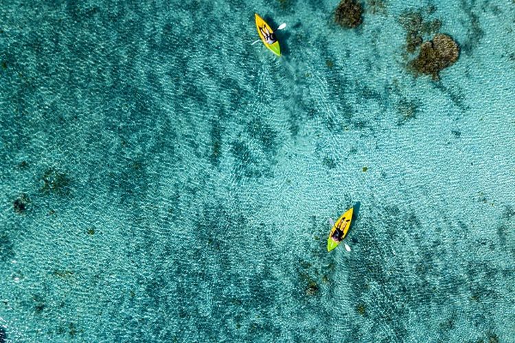 Kepulauan Cook DOK. Shutterstock