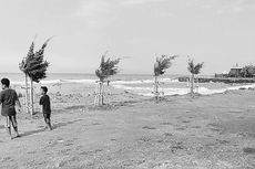 Berenang dengan Lumba-lumba di Pantai Cahaya