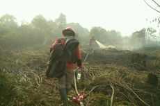 BPBD Sebut Karhutla Belum Timbulkan Kabut Asap di Riau