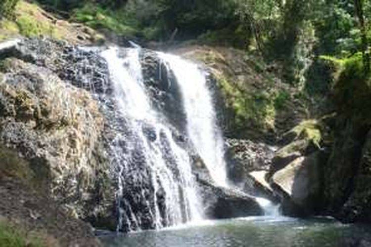Air Terjun Bensu Rewung di kawasan Hutan lindung Golo Tando, di sekitar Kampung Beong, Desa Kombo, Kecamatan Macang Pacar, Manggarai Barat, Flores, NTT, Rabu (13/7/2016). Air terjun ini menjadi salah satu obyek wisata yang terunik di wilayah utara dari Manggarai Barat.  