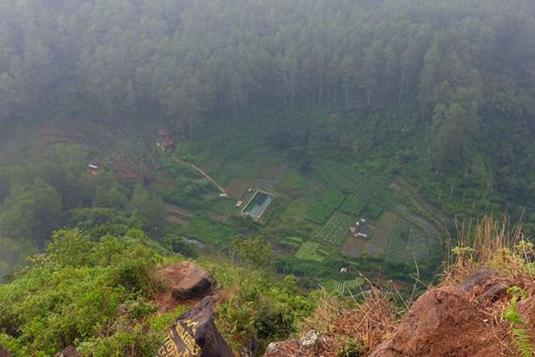 Panorama Taman Hutan Raya (Tahura) Juanda, Bandung dari Tebing Keraton.