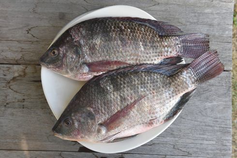 Tidak Hanya Lezat, Ini 6 Manfaat Mengonsumsi Ikan Nila