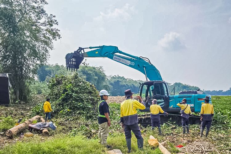 Fogging Tak Mempan, Serangan Nyamuk ‘Eceng Gondok’ di Bantaran Waduk Saguling Bandung Barat Mengganas