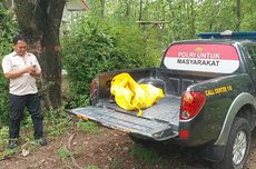 Anak Gajah Lela Mati di PLG Sebanga Bengkalis