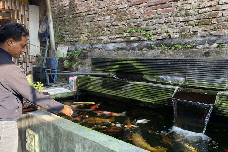 Listrik Padam, Pembudidaya Koi di Malang Khawatir Ikan Mati