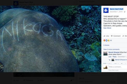 Berkaca dari Kasus Raja Ampat, Ini Upaya Mencegah Koral Kembali Rusak