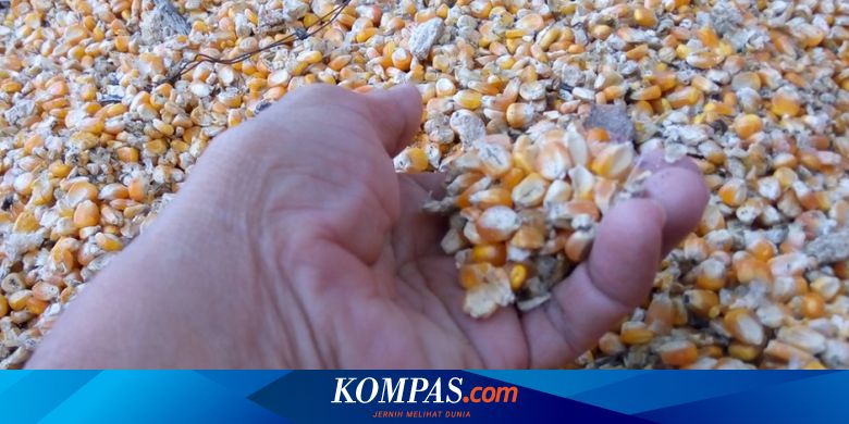 Ini Tantangan Dunia Pertanian Indonesia