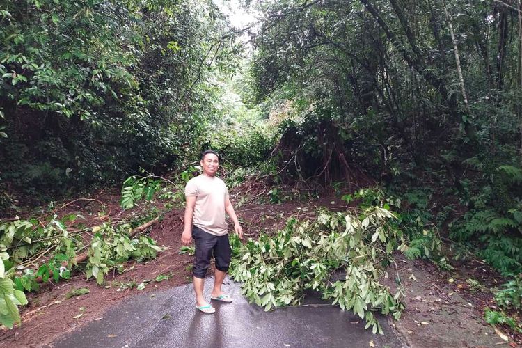 Kondisi longsor di Jalan Suela-Sembalun, Lombok Timur, Senin (1/4/2024)