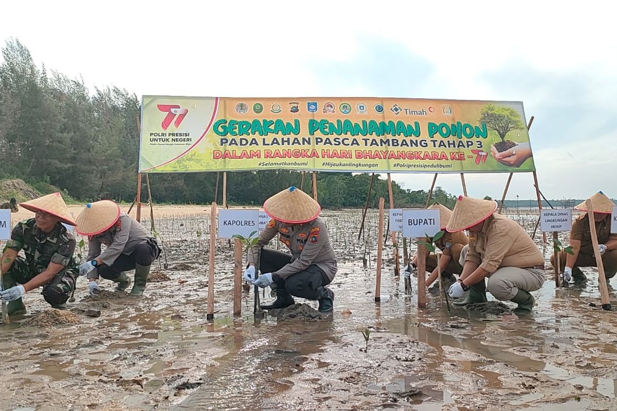 Penanaman pohon mangrove sebagai upaya reklamasi lahan kritis di Pantai Pait Jaya, Belo Laut, Bangka Barat, Selasa (20/6/2023).