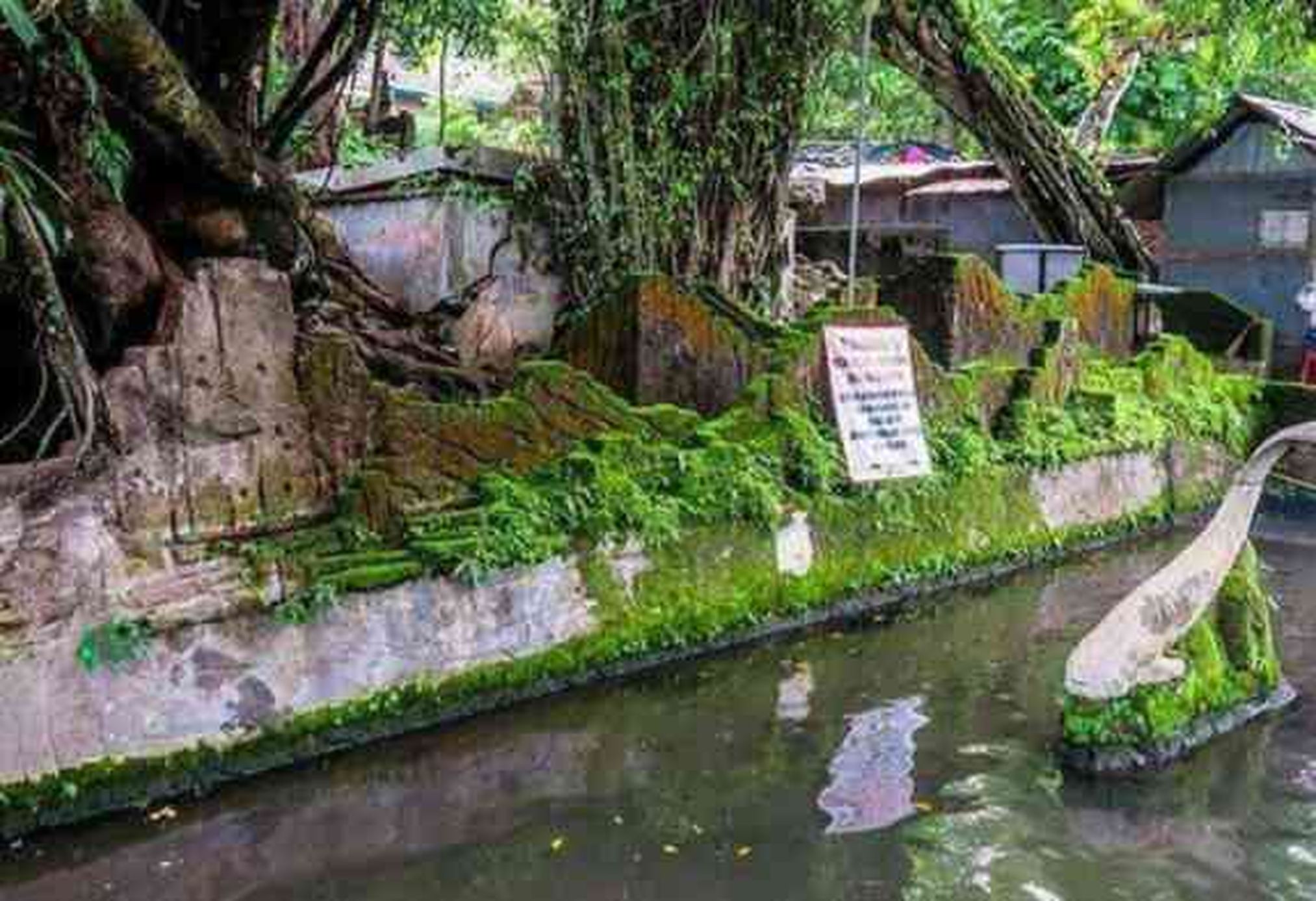 Sendang Lele Baseng ( Sumber : Dokumentasi Pribadi Penulis )