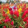 Tempat Wisata Gunung Salak di Aceh Utara Bakal Tutup untuk Pembangunan Jembatan