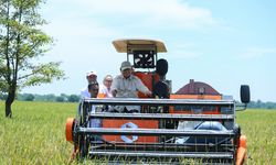 Kementan Komitmen Jaga Stabilitas Harga dan Tingkatkan Produktivitas Petani, Pengamat Beri Respons Positif