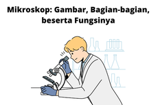 Mikroskop: Gambar, Bagian-bagian, beserta Fungsinya