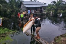 5 Fakta Buaya Terkam Bocah di Riau, Diserang di Depan Rumah hingga Peringatan BBKSDA