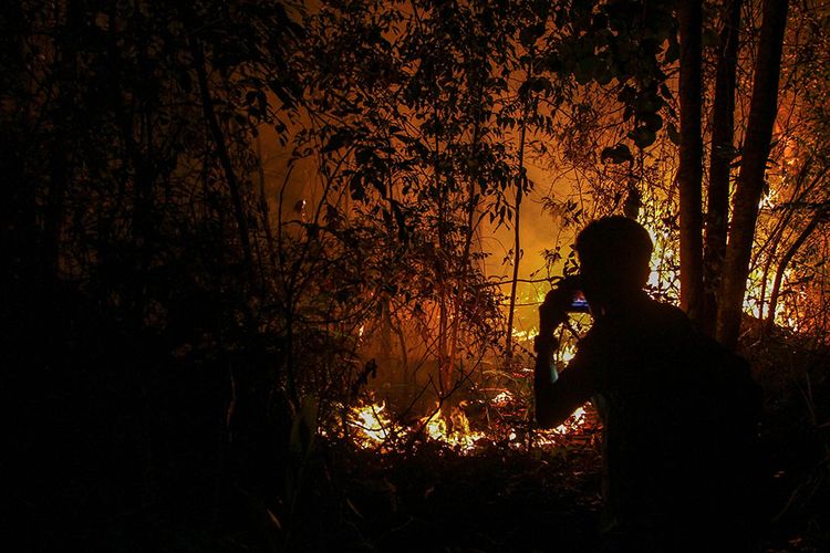 Seorang pewarta memotret api yang membakar semak belukar dan pepohonan ketika terjadi kebakaran lahan di Pekanbaru, Riau, Senin (18/3/2019) malam. Keringnya pepohonan akibat cuaca panas dan diperparah dengan kencangnya angin membuat api cepat menjalar sehingga menyulitkan regu pemadam untuk melakukan pemadaman di lokasi yang terbakar.