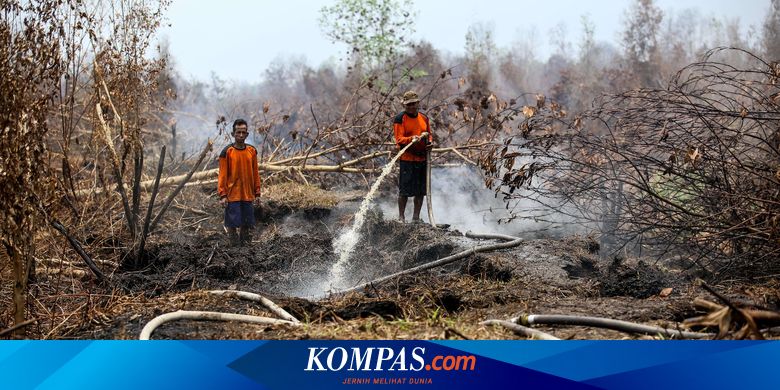 Keterkaitan Karhutla Dan Korupsi Serta Komitmen Pemerintah Dalam Mengatasinya Halaman All Kompas Com