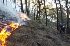 Helikopter BNPB Padamkan Tiga Titik Api di Puncak Gunung Welirang