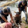 Jasad Bayi Tanpa Baju Tersangkut di Bebatuan Sungai Setail Banyuwangi